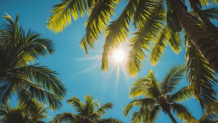 Fototapeta premium Sunlight Illuminating Lush Green Palm Leaves Against a Clear Blue Sky Creating a Tropical Paradise Atmosphere