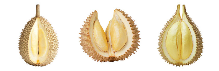 Fototapeta premium Fresh Durian Fruit Whole and Open, Exotic Taste Isolated on transparent background