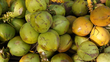 Fresh coconut fruit drinks are good for the health of the human body