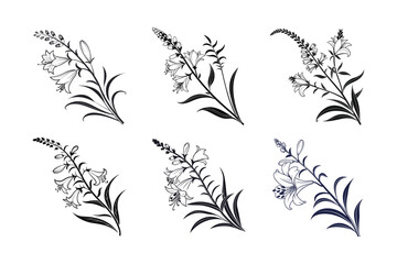 Fototapeta premium Obedient Plant (Physostegia virginiana) silhouette vector illustration