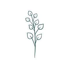 botanical leaf doodle wildflower line art