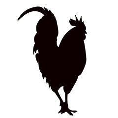 silhouette of a rooster on a white background, vector