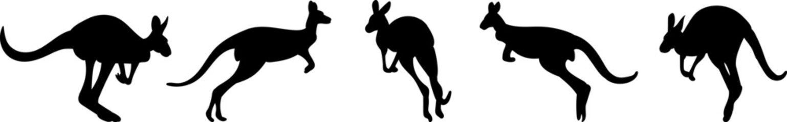 silhouette kangaroo jumping collection on white background, vector