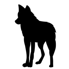 wolf silhouette on white background, vector
