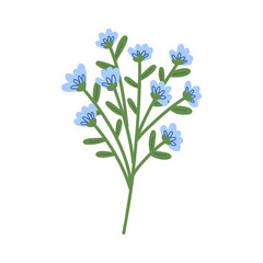 Naklejka premium Hand draw Spring bright flower. Botanical illustration.