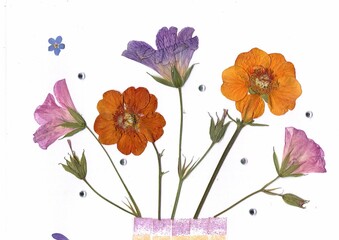 A display of pressed summer flowers in a vase on a white background.