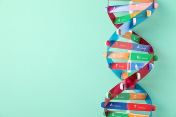 Colorful DNA structure model on turquoise background, top view. Space for text