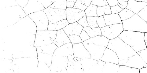 Cracked Ground Abstract Texture on White Background.






