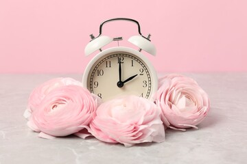 Spring time. Alarm clock and beautiful ranunculus flowers on grey marble table against pink...