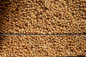 Dried chickpeas spread out in preparation for cooking at a bustling market in mid-morning light in a vibrant local community