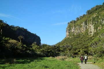 Steep green cliffs in New Zealand with a clear blue sky above. The untouched landscape showcases...