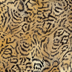 Print-ready pattern consisting of real animal textures