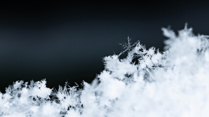 natural snowflakes on snow, winter