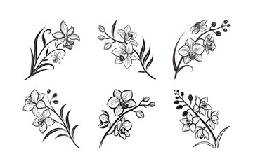 Fototapeta premium Orchid (Orchidaceae family) silhouette vector illustration