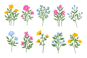 Spring flowers hand draw set collection. Various pink, yellow and blue flowers. 