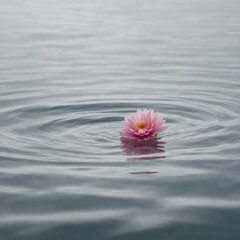 A minimalistic ocean scene with only a single pink flower floating on the surface, set on white.
