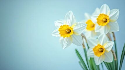 Fototapeta premium A bouquet of fresh flowers in a glass vase, perfect for decorating any room or occasion
