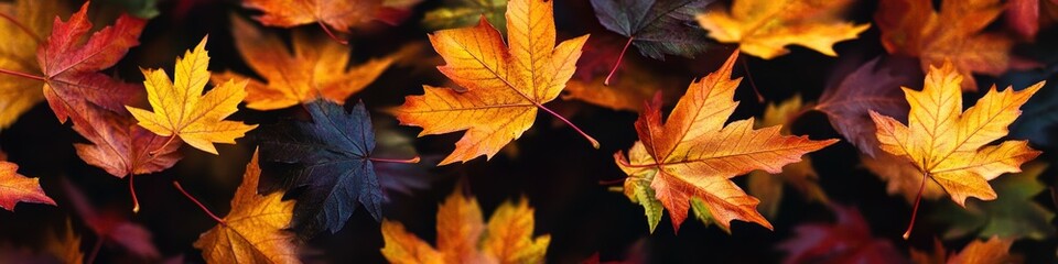Fototapeta premium Leaves floating in the air, capturing the beauty of autumn