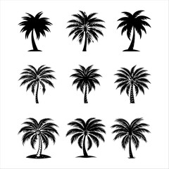 palm trees silhouettes
