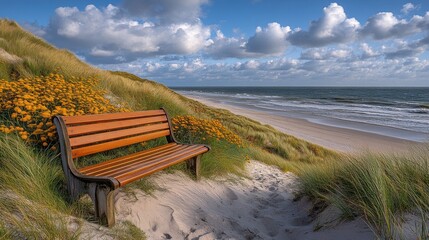 Obraz premium Coastal dune bench, sunny day, wildflowers