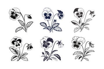 Pansy (Viola spp.) silhouette vector illustration