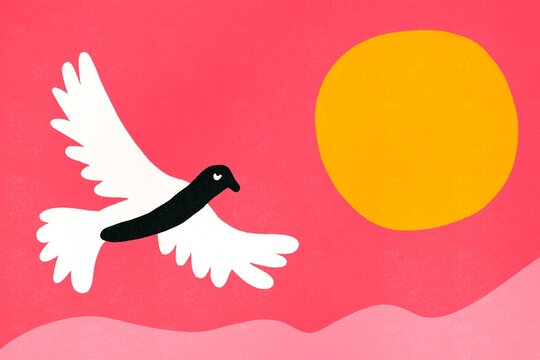 Dove in flight against a large yellow sun and pink background