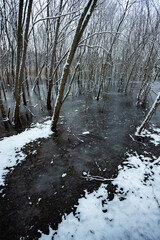 Mysrious place in the forest ,winter landscape with a lake in forest , and snow on the trees .Beautiful place to stand alone , frozen river . Cold and snowy weather , blue and film colors .