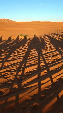 merzouga desert in morocco with camel caravan shadows on golden sand dunes at sunset 