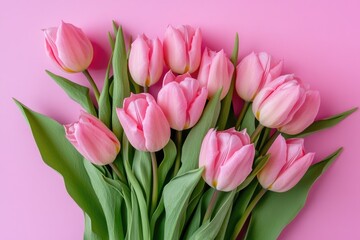 A bouquet of pink tulips on a pink background, perfect for spring or Easter themed designs