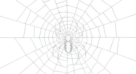  Intricate Spider Web with a Spider in the Center  Minimalist Design