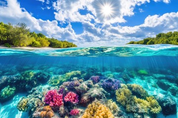 Bright Coral Reef Underwater with Ocean Surface View