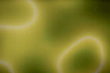 Wallpaper with blurred and bright color of rainbow for website, banner