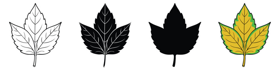 Leaf Vector black and color. leaves line art. Nature inspired, Detailed, and versatile illustration for greenery, Eco, and botanical Project. Fully scalable and customizable for print and digital.