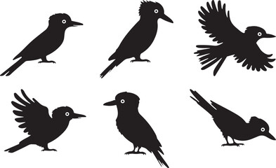 Obraz premium Kookaburra silhouettes