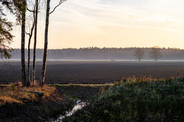 Sunset in the field with birch trees. Early spring. Foggy morning in the field. Foggy morning in the countryside with fields and forests in the background