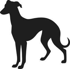 Obraz premium Greyhound dog silhouettes