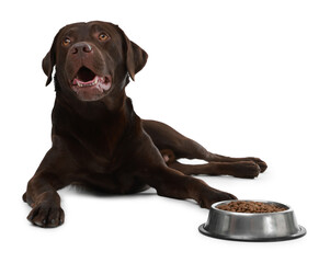 Cute dog lying near bowl of dry pet food on white background