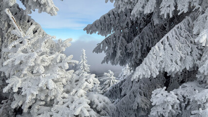 Piękny krajobraz zimowy w górach polskich. Góry Izerskie, widok ze Stogu Izerskiego, Dolny Śląsk, Polska. Beautiful winter landscape in the Polish mountains. Izera Mountains, view from Stog Izerski. © Anita