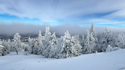 Piękny krajobraz zimowy w górach polskich. Góry Izerskie, widok ze Stogu Izerskiego, Dolny Śląsk, Polska. Beautiful winter landscape in the Polish mountains. Izera Mountains, view from Stog Izerski. © Anita