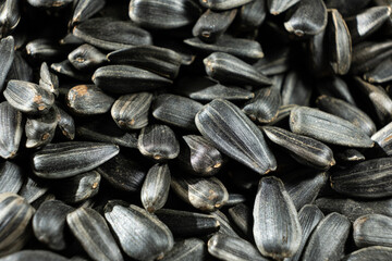 Crunchy Roasted Sunflower Seeds Close-Up
