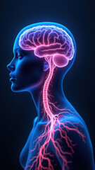 Vagus Nerve Stimulation (VNS) device illustration with highlighted human brain, neck, and internal nerves.