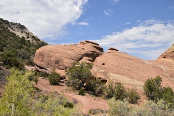 Scenic rock formations and greenery under a blue sky in a desert. Colorado National Monument, USA