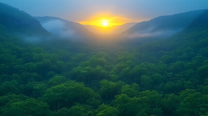 Fototapeta premium Sunrise over misty mountain valley forest. Peaceful nature scene, ideal for travel or environmental themes