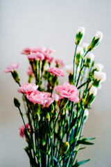 Beautiful pink and white flowers on a white background.