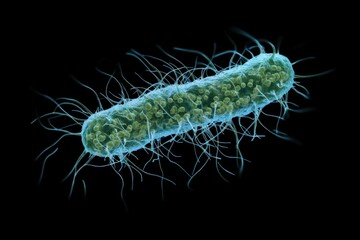 Clostridium Botulinum Bacterium: Bacterial Bacillus Causing Botulism and Food Poisoning
