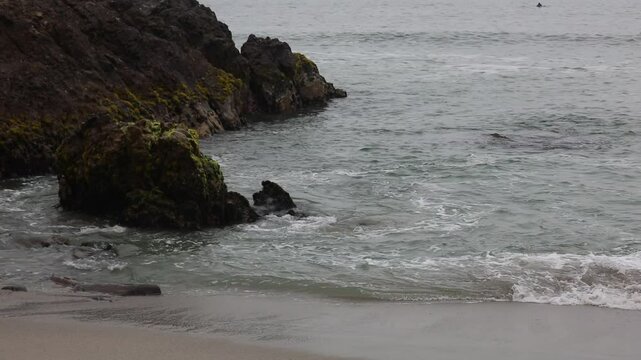 Colony of cormorants ans seagulls flying through cloudy sky in shore line in Lima Pery