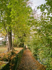 Sentier forestier aux couleurs de l'automne