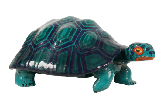 turtle isolated on white
