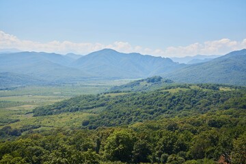 Beautiful mountain landscape. Natural beauty. Forest and mountain peaks