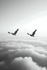 Elegant black and white image showing two birds gliding peacefully over soft white clouds, symbolizing serene freedom and boundless flight